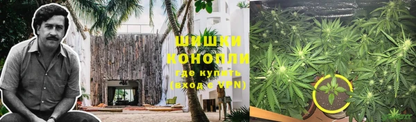 мдпв Балабаново